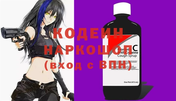 индика Баксан