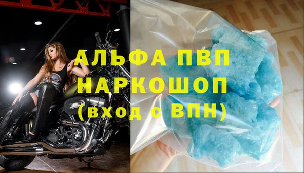 индика Баксан