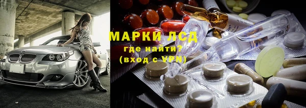 индика Баксан