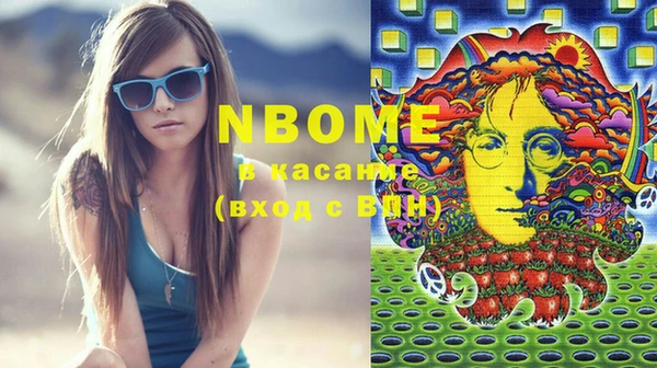 индика Баксан