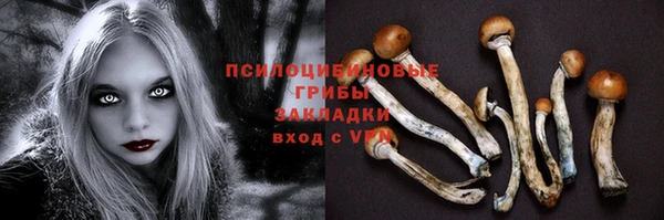 героин Рославль