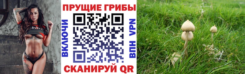 mega ONION  Красноармейск  Галлюциногенные грибы прущие грибы 
